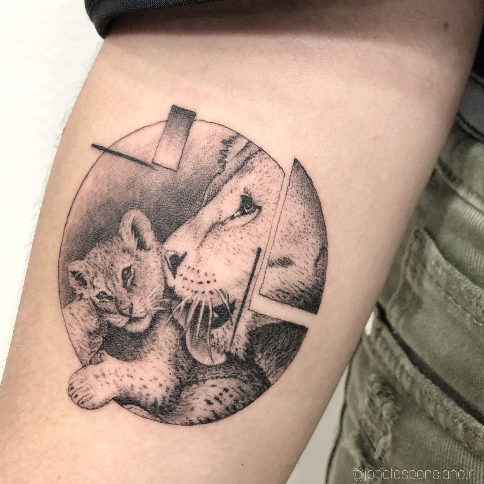 Micro-realismo - Studio Jonatas Ponciano