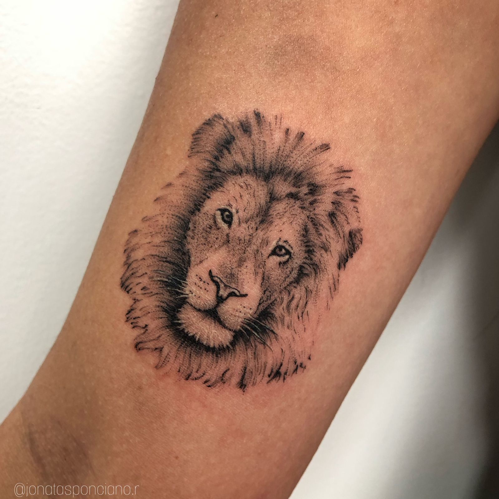 Micro-realismo - Studio Jonatas Ponciano