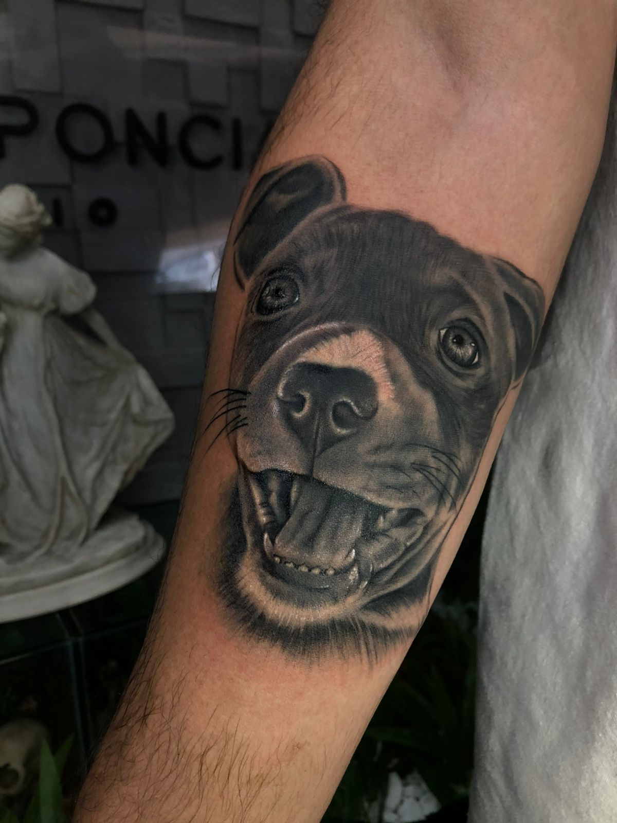 Micro-realismo - Studio Jonatas Ponciano