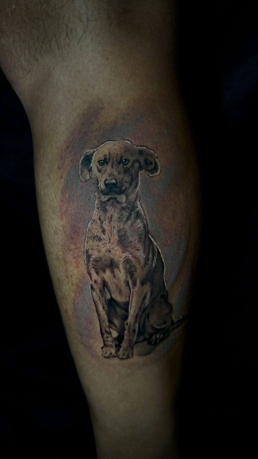 Micro-realismo - Studio Jonatas Ponciano