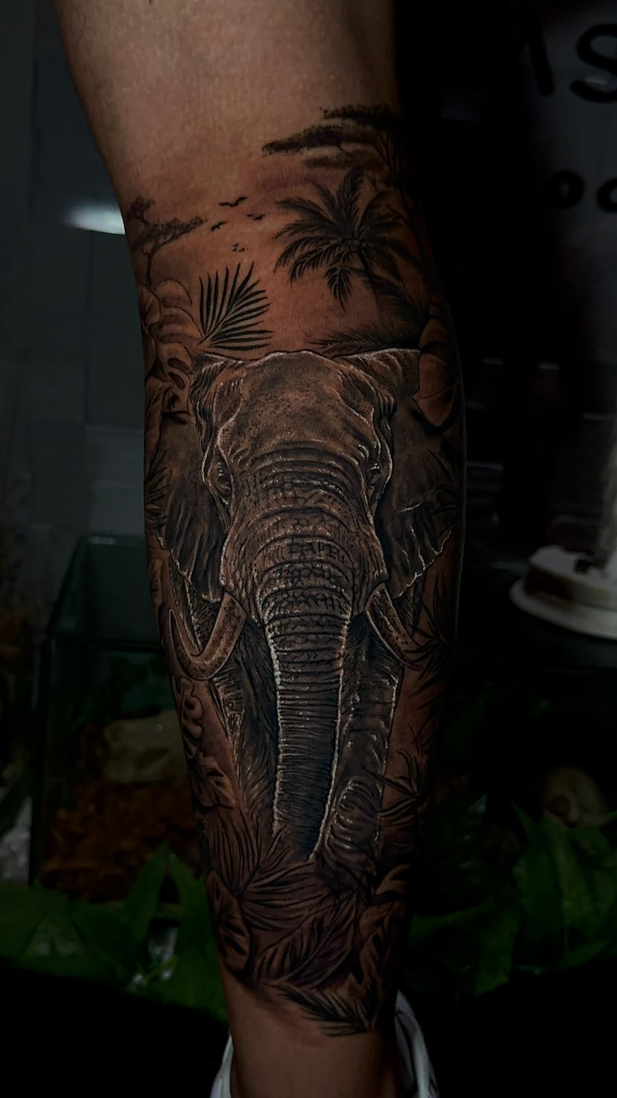 Realismo - Studio Jonatas Ponciano